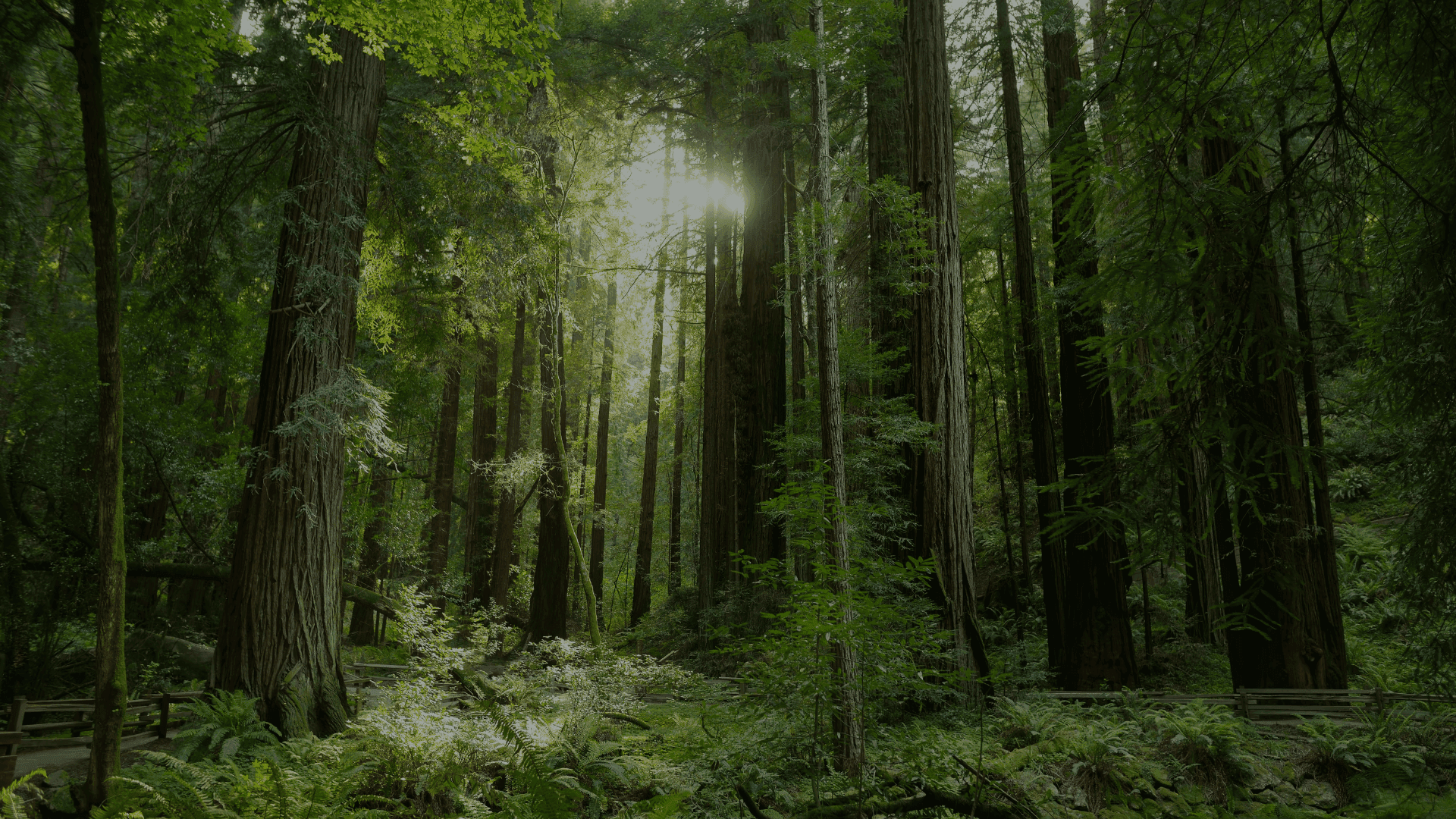 Dịch vụ và giải pháp