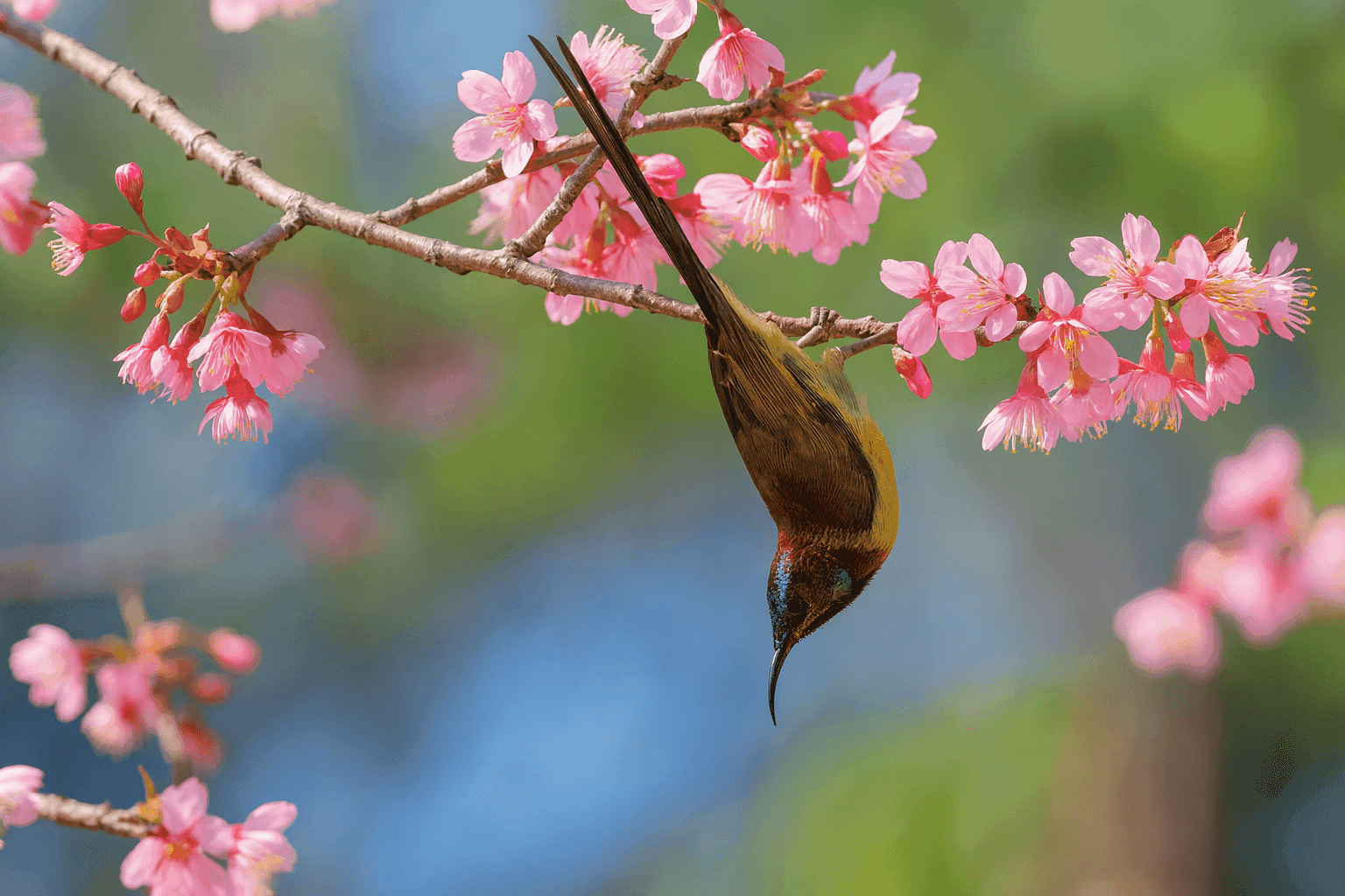 Thiết bị và vật tư xét nghiệm