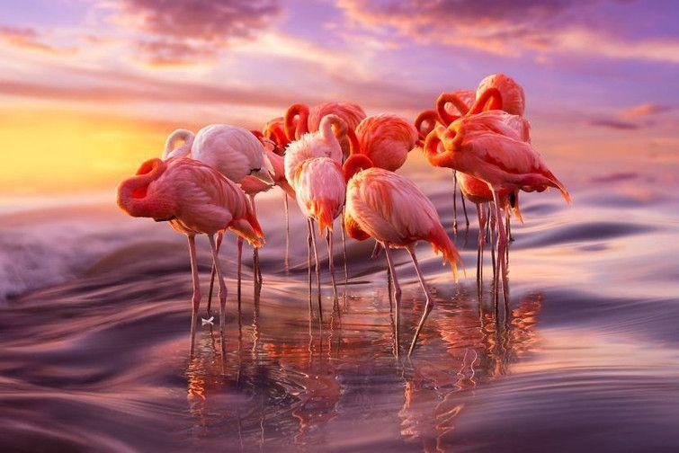 Sản phẩm truyền máu